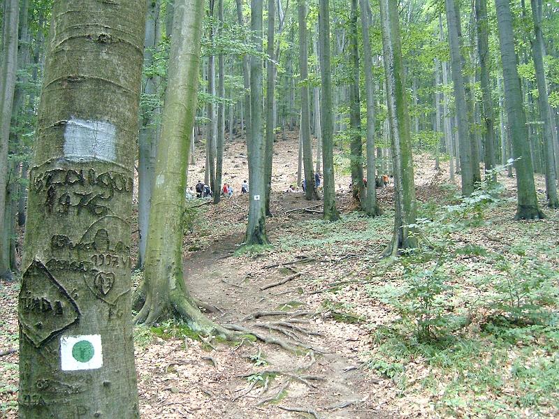 20100814 051.jpg